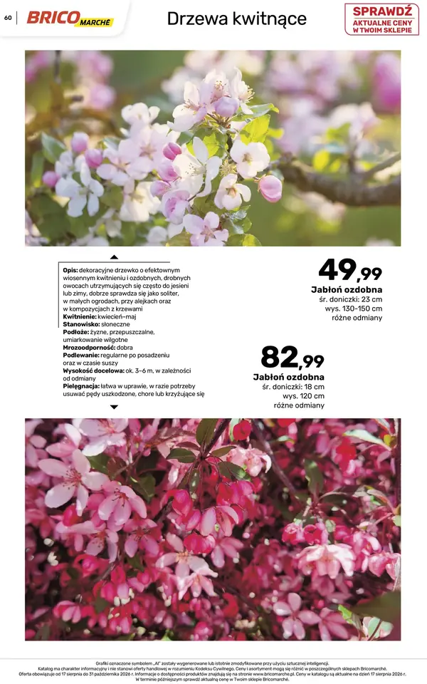 Strona 60 gazetki Bricomarche