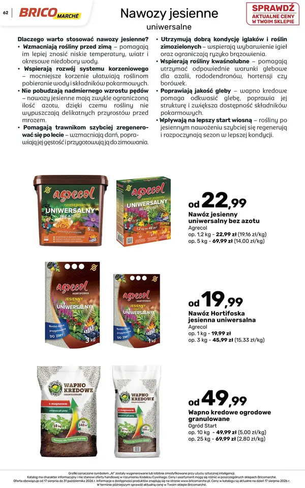 Strona 62 gazetki Bricomarche