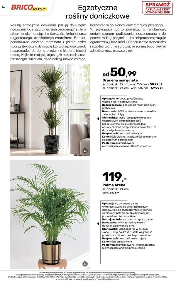 Strona 74 gazetki Bricomarche