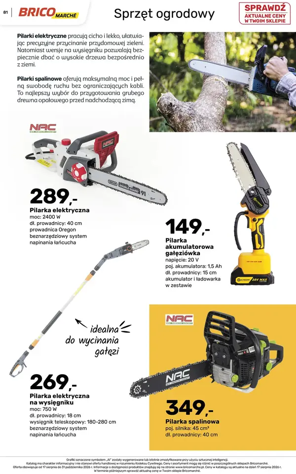 Strona 81 gazetki Bricomarche