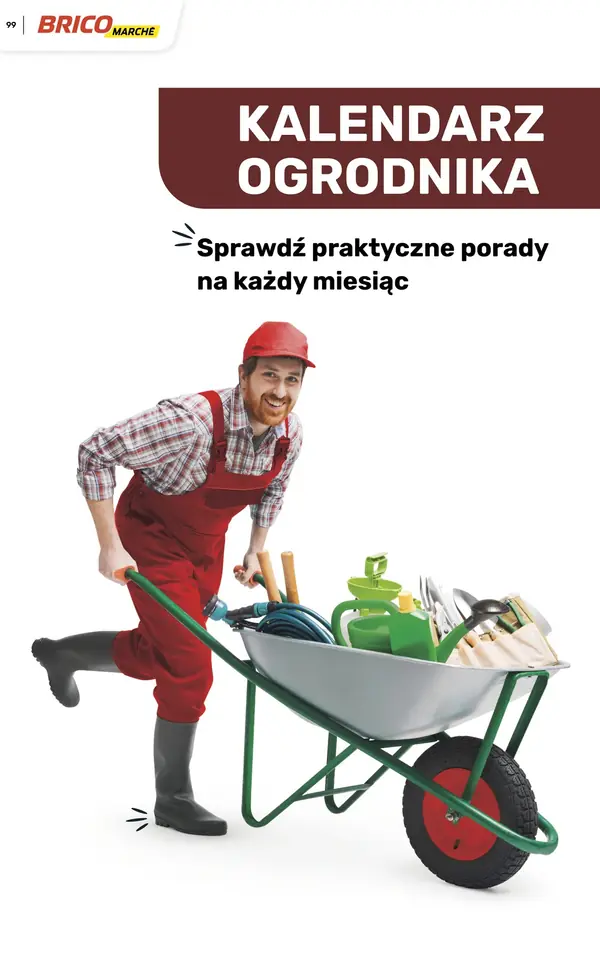 Strona 99 gazetki Bricomarche