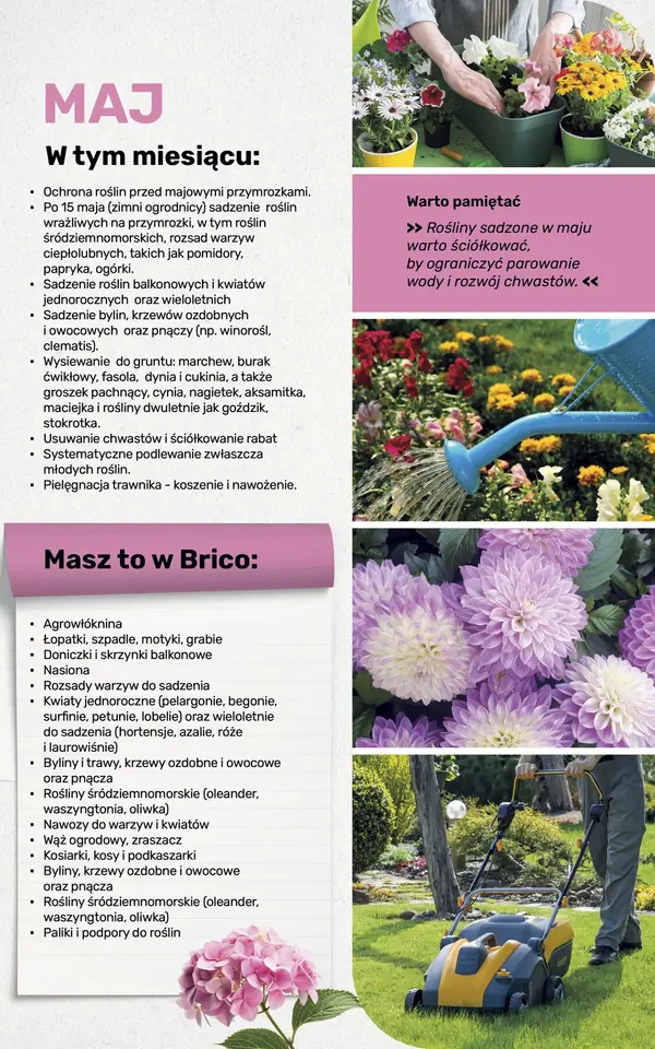 Strona 104 gazetki Bricomarche