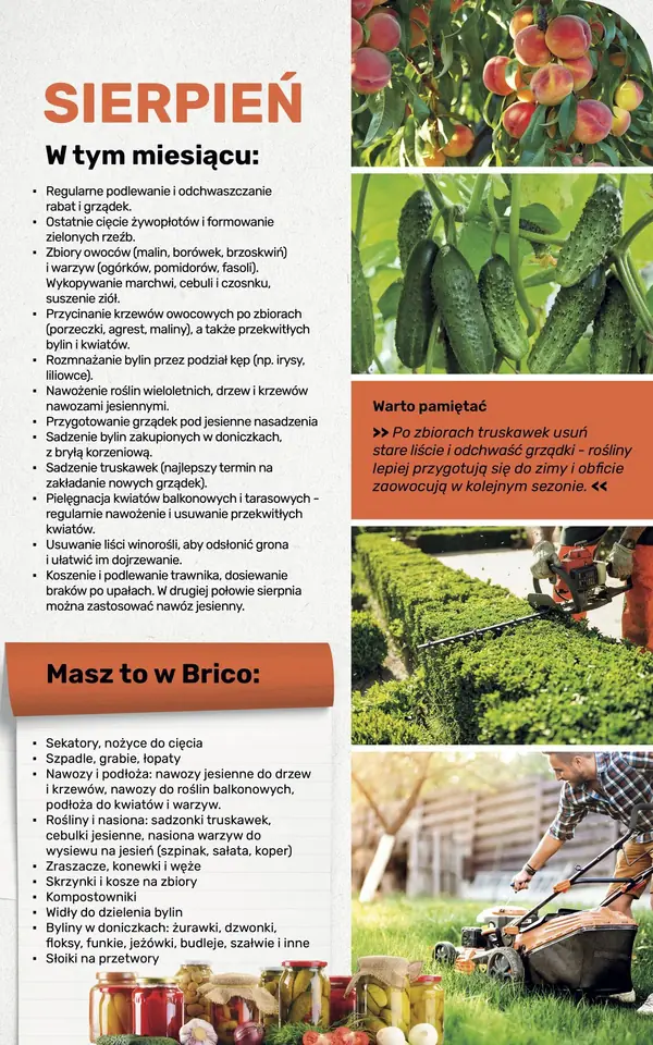 Strona 107 gazetki Bricomarche