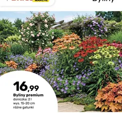 Byliny premium
