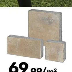 Visio wapień muszlowy