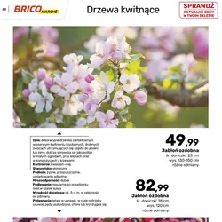 Jabłoń ozdobna