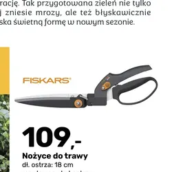 Nożyce do trawy