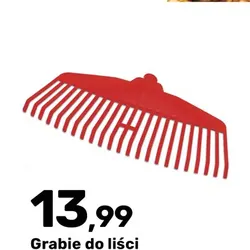 Grabie do liści