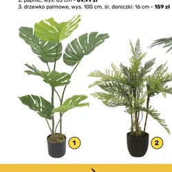 Kwiat sztuczny w donicy monstera