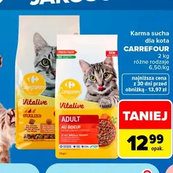 Karma sucha dla kota CARREFOUR