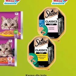 Karma dla kota SHEBA
