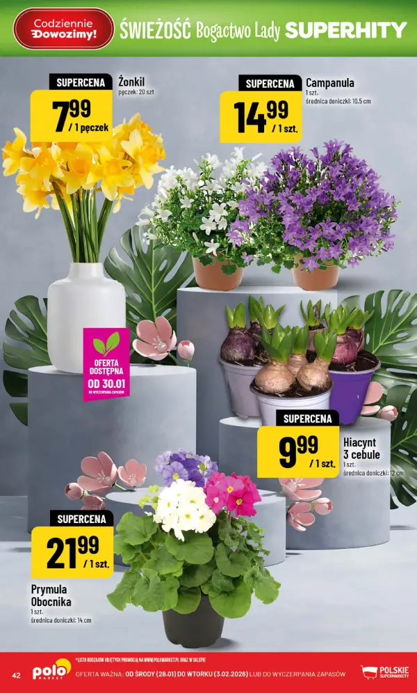 Strona 42 gazetki POLOmarket