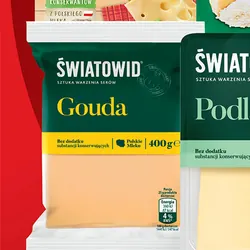 Ser Gouda 400g