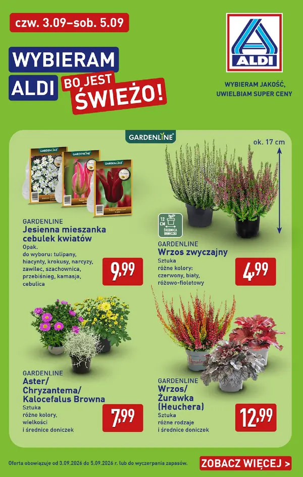 Strona 38 gazetki Aldi