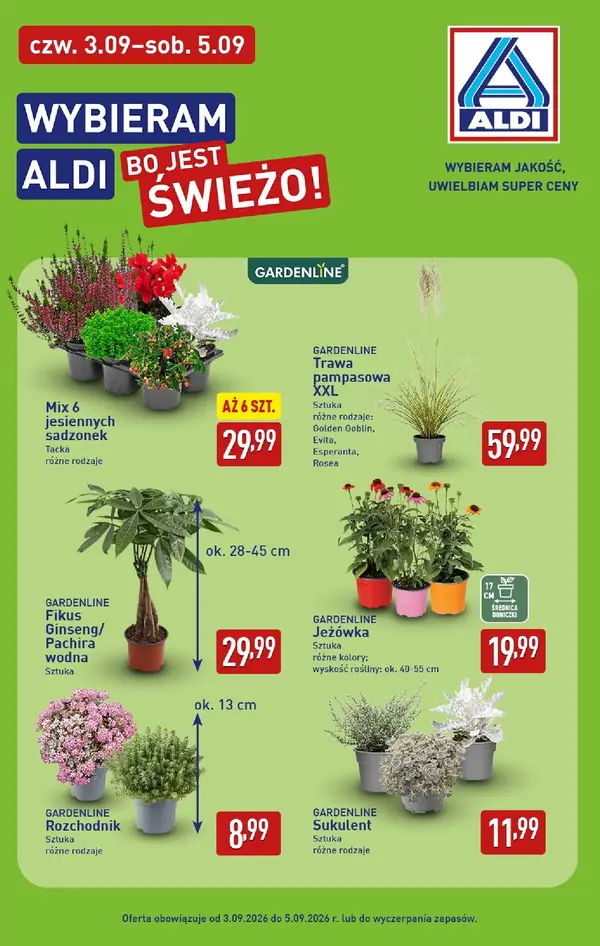 Strona 39 gazetki Aldi