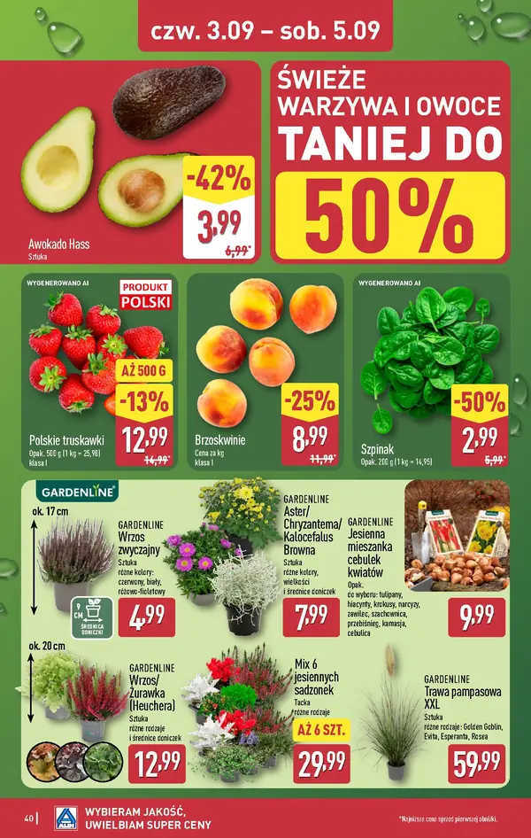 Strona 40 gazetki Aldi