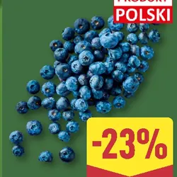 Borówki amerykańskie XXL