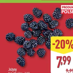 Jeżyny