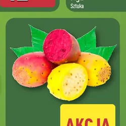 Figa kaktusowa