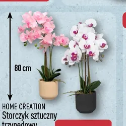 Storczyk sztuczny trzypędowy