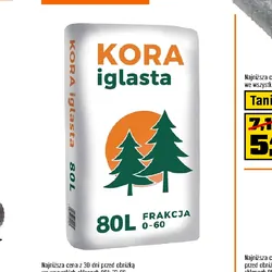 Kora iglasta