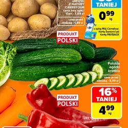 Polskie ogórki krótkie