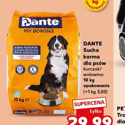 Dante Sucha karma dla psów