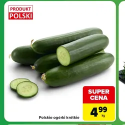 Polskie ogórki krótkie