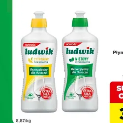 Płyn do naczyń LUDWIK
