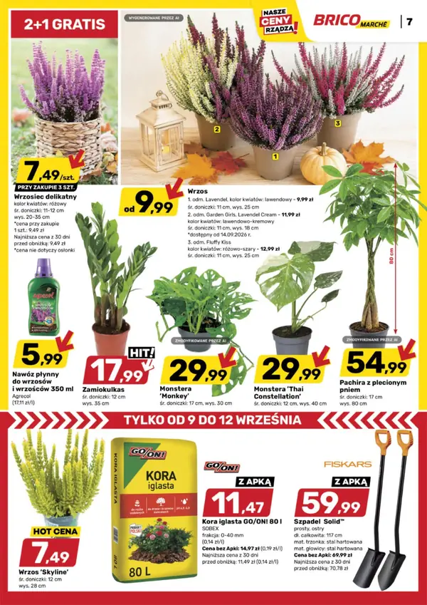 Strona 7 gazetki Bricomarche