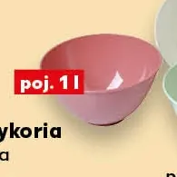 Miska Cykoria BRANQ