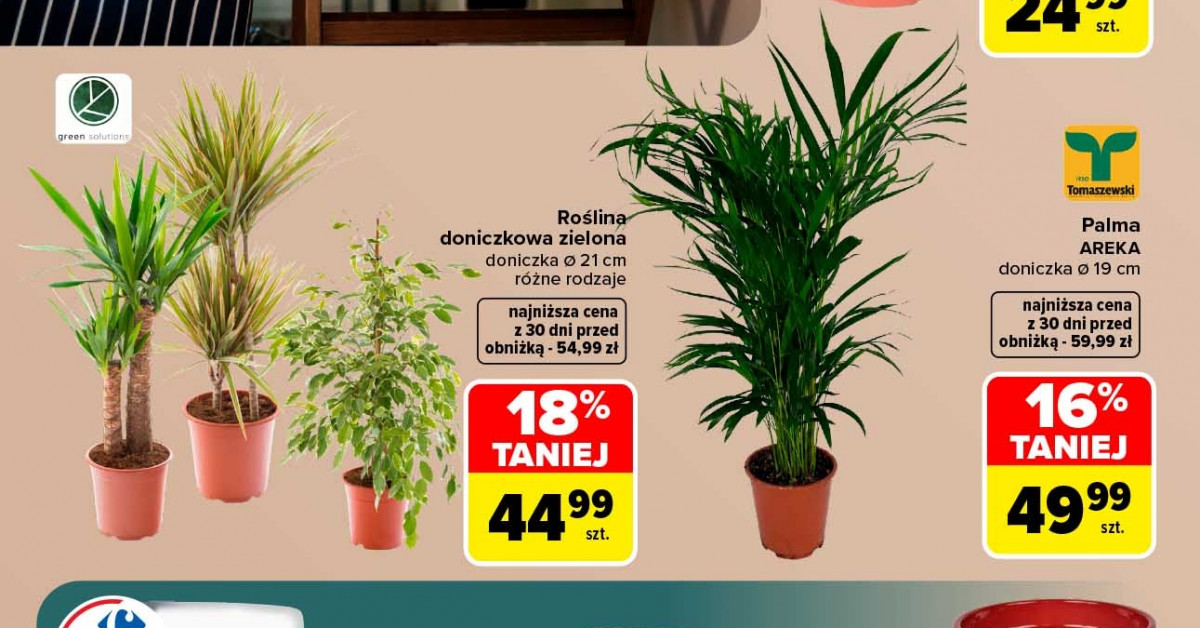 Nie przegap! Najważniejsze okazje z gazetki Carrefour (07.09–19.09) — co warto kupić tej jesieni?