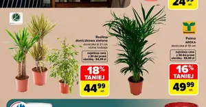 Nie przegap! Najważniejsze okazje z gazetki Carrefour (07.09–19.09) — co warto kupić tej jesieni?