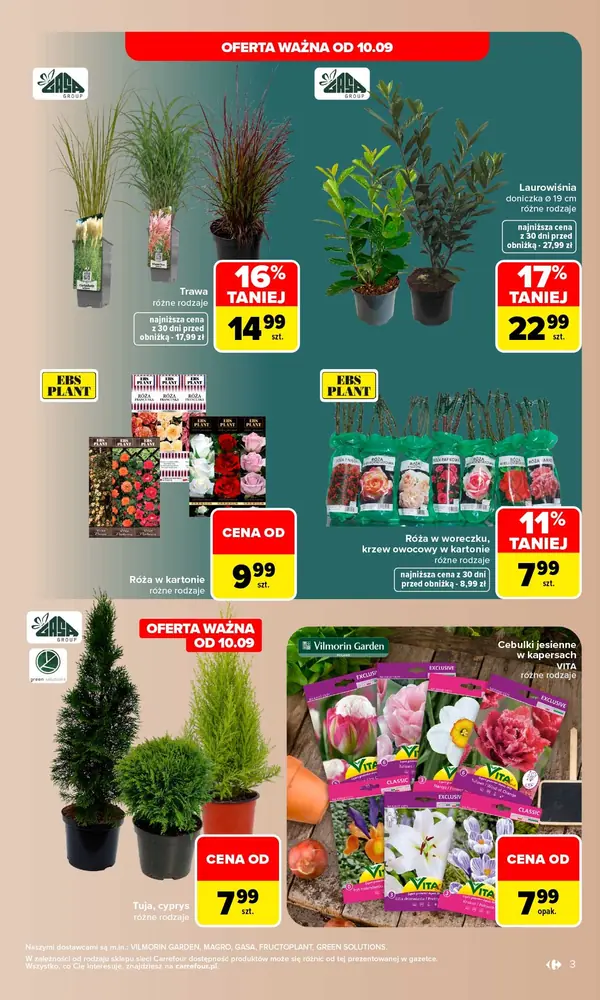Strona 3 gazetki Carrefour
