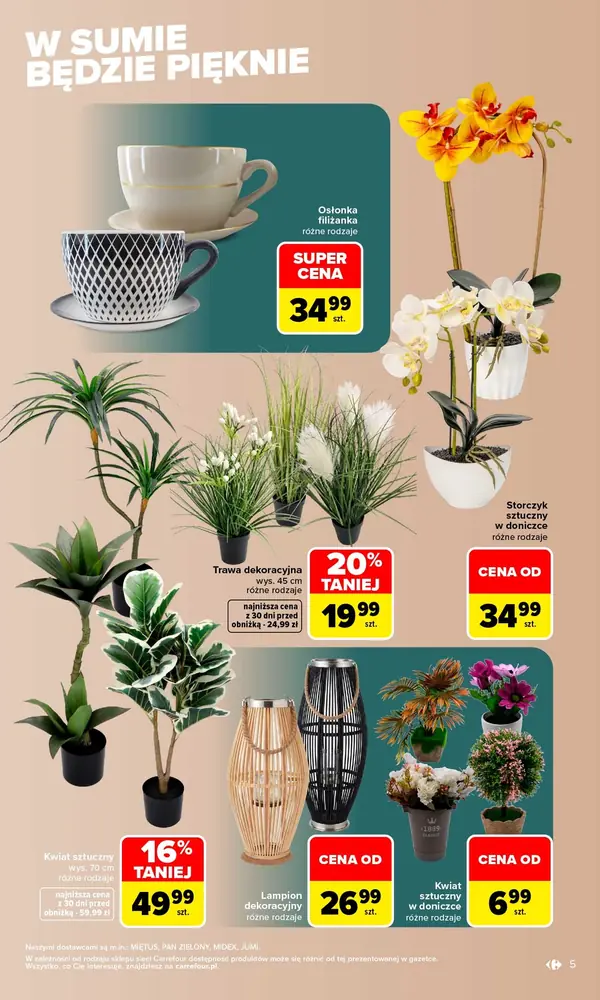 Strona 5 gazetki Carrefour
