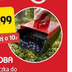 Zbieraczka do owoców jagodowych