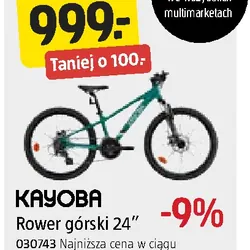 Rower górski 24"