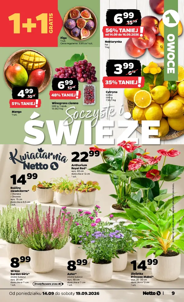 Strona 9 gazetki Netto