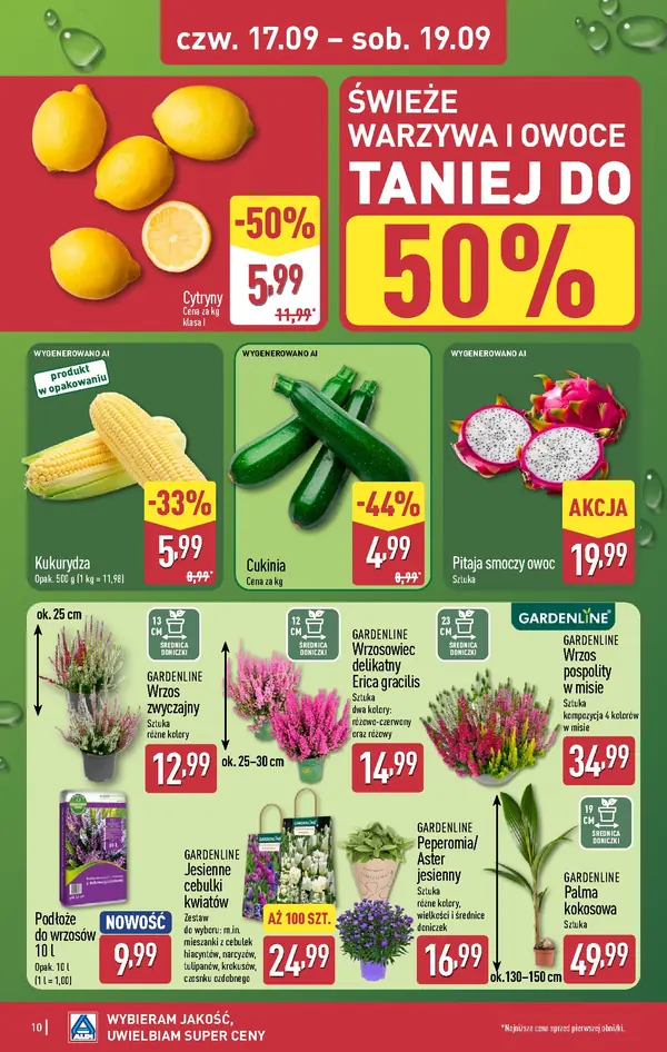 Strona 10 gazetki Aldi