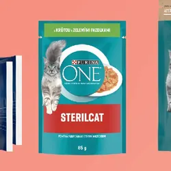 Purina One Karma sucha dla kotów