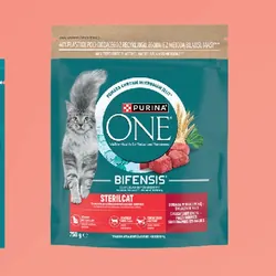 Purina One Karma sucha dla kotów