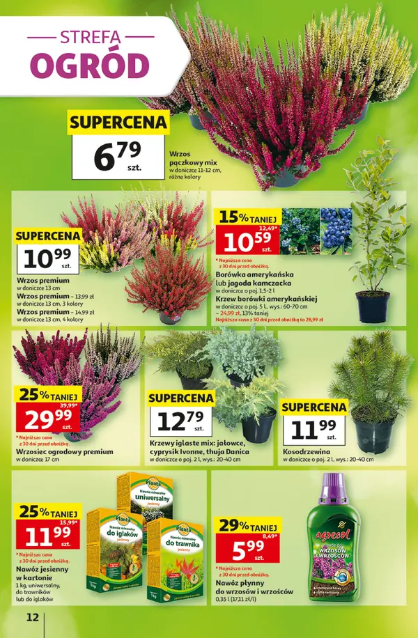 Strona 12 gazetki Auchan