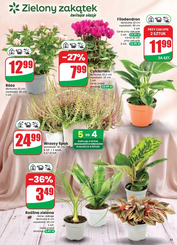 Strona 55 gazetki Dino
