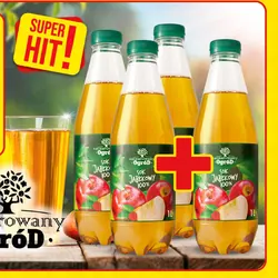 Sok 100% Jabłkowy Zaczarowany Ogród