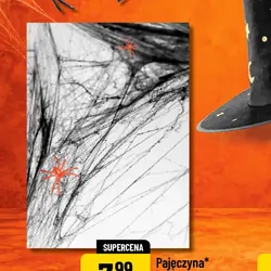 Pajęczyna