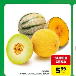 Melon GALIA, CANTALOUPE, ŻÓŁTY