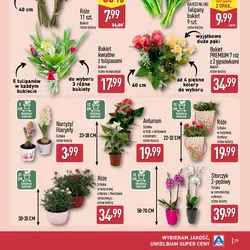 Gardenline Tulipany bukiet 9 szt.