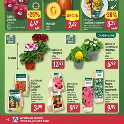 GARDENLINE Byliny i cebulki roślin