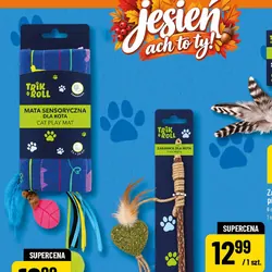 Mata sensoryczna dla kota