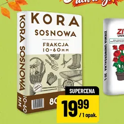 Kora sosnowa